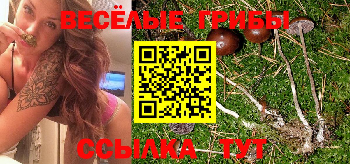 Псилоцибиновые грибы мухоморы  Вход с VPN  Псилоцибиновые грибы мухоморы  Челябинск 